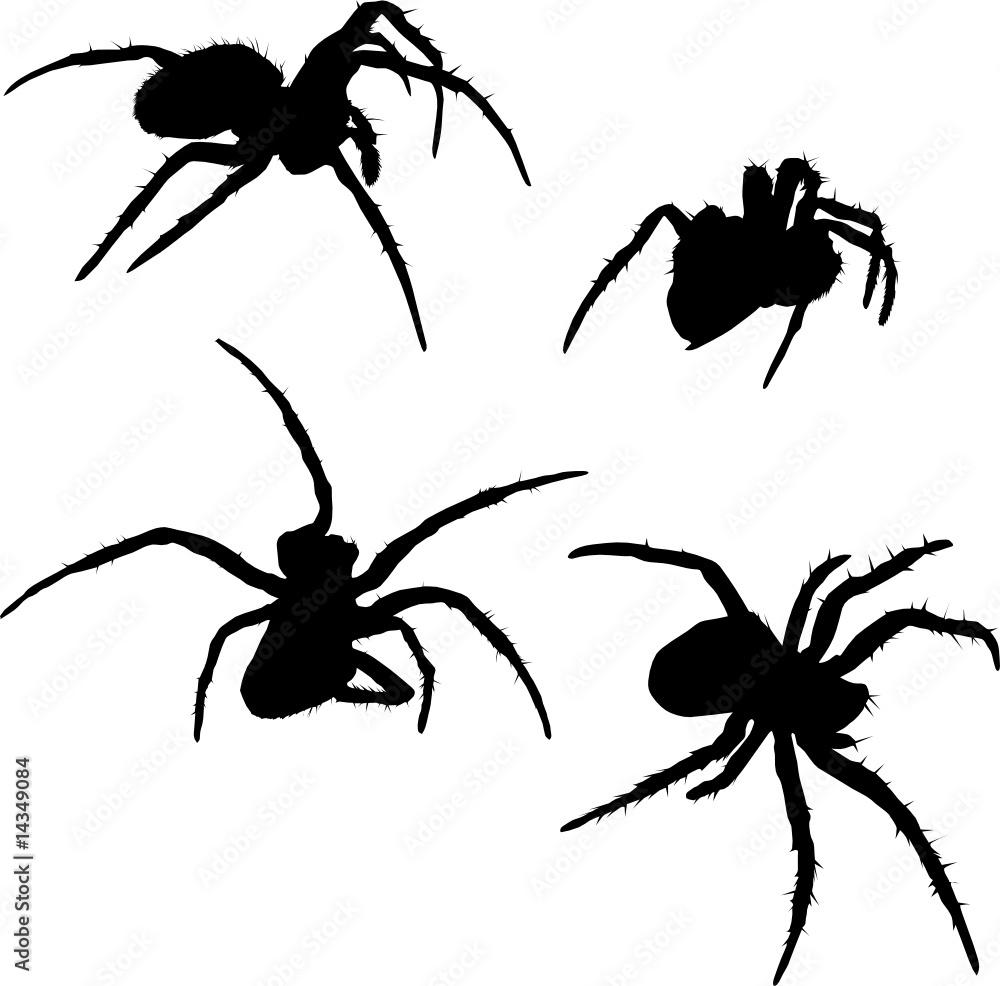 Wall mural four spider silhouettes