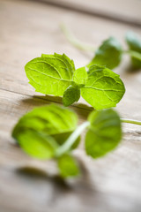 Fresh mint