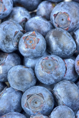 Fresh Blueberries