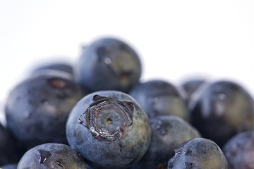 Fresh Blueberries