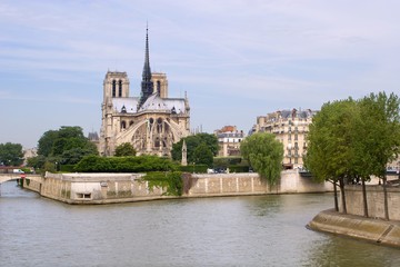 Fototapeta na wymiar Notre-Dame in Paris - gothic cathedral