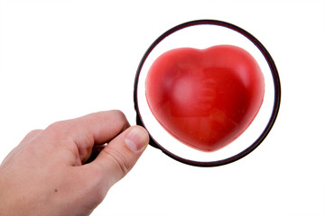 heart under magnifying glass