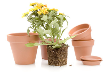 flowerpots