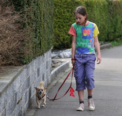 Walk The Dog