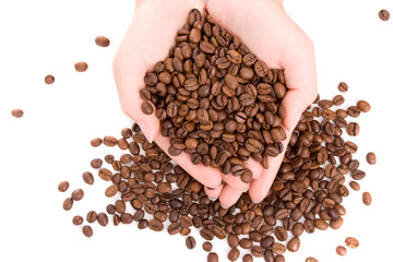 woman hands full of coffee beans