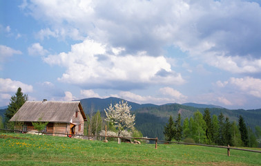 Obraz premium traditional village in carpathian mountain