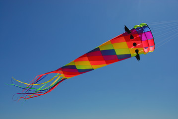 Flugdrachen am Himmel 501