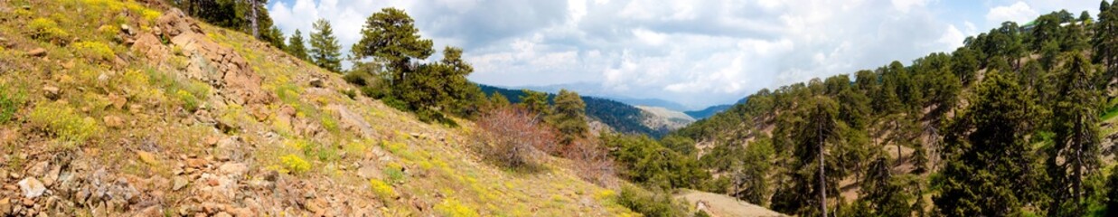 Fototapeta na wymiar Panorama Mountain Wildlife Mediterranean