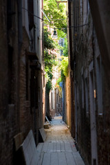 Fototapeta na wymiar Street Lane in Venice in summer