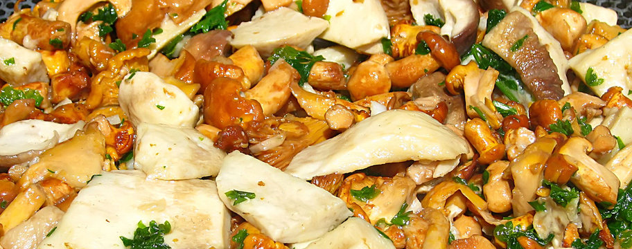 Fricass&eacute;e de champignons
