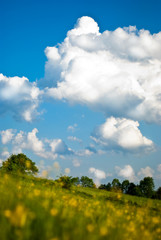 Fantastic Sky And Clouds