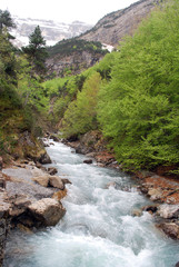 Torrent de Gavarnie