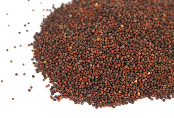 graines de moutarde