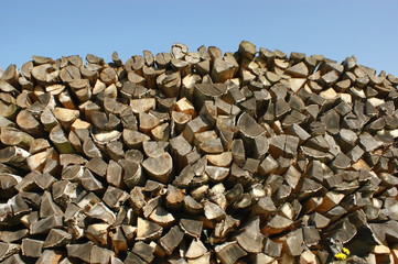 Gestappeltes Brennholz