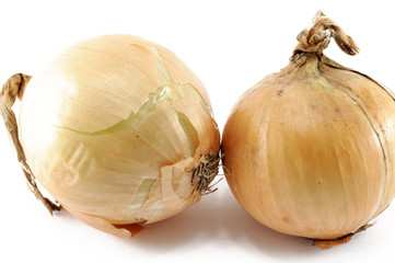 Fototapeta premium onion