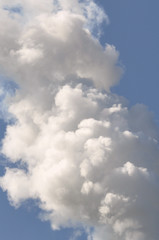 wolke