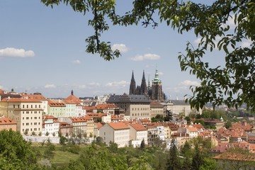 prague - st. vitus cathedral cross the trees