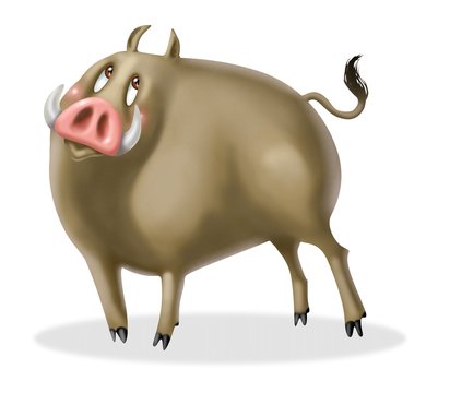 cinghiale