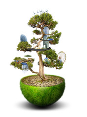 Magic Tree with city placed on it - 14375006