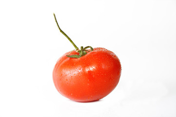 Bathed Tomatoe