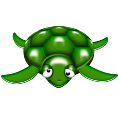 Tartaruga-Turtle-Tortue-Cartoon