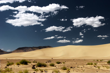 Fototapeta na wymiar dunes de sable,NEVADA_USA