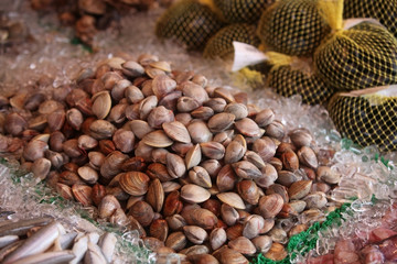 Naklejka premium seafood