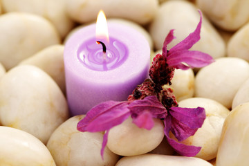 candle and lavender