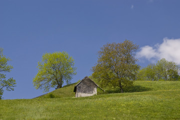 Fototapeta premium Sargans in St. Gallen in der Schweiz