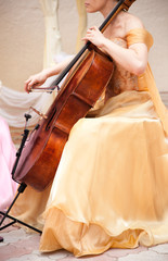 cello musician