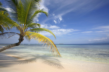 Playa Tropical Perfecta