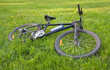Bicycle lying on grass