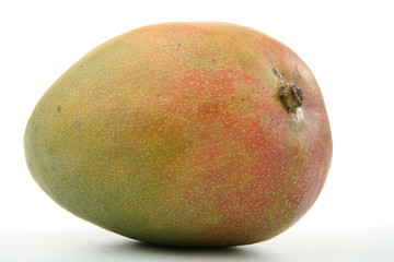 mangue