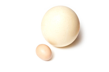 Ostridge egg and a chicken egg.