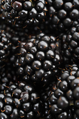 blackberry