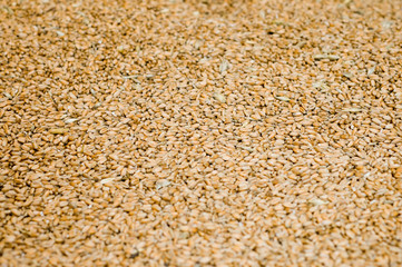 background from grains