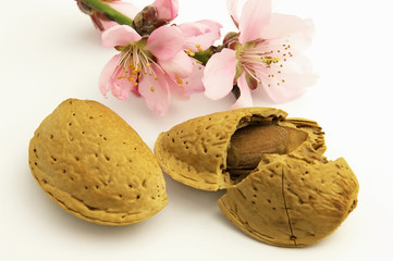 Almond
