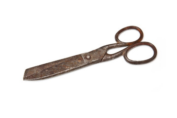 Scissors isolated on a white studio background.