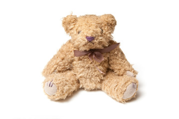 Teddy bear isolated on a white studio background.