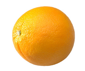 orange fruit