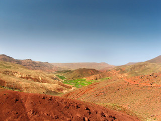 red rocks and green oasi
