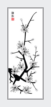 sakura blossom