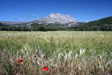 Sainte Victoire Provence