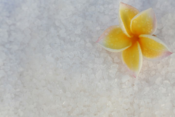 Fototapeta na wymiar fleur de frangipanier sur du gros sel