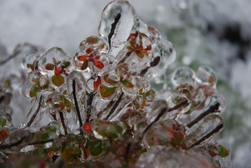 sople lodu © Krzysztof Budziakows