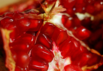 Close-up of pomegranate fruit
