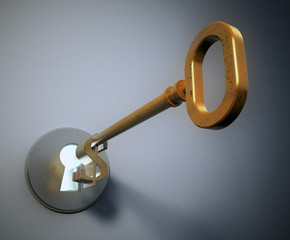Dollar shaped key. Key to financial success
