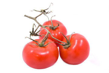 Tomatoes