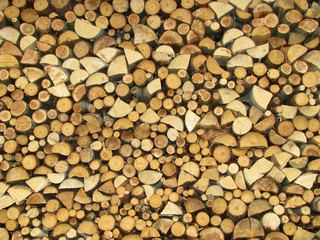 Wood - Background