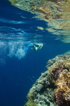 Man snorkeling in Red sea